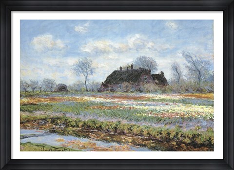 Framed Tulip Fields at Sassenheim Print