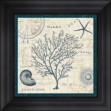 Framed Ocean Life IV Print