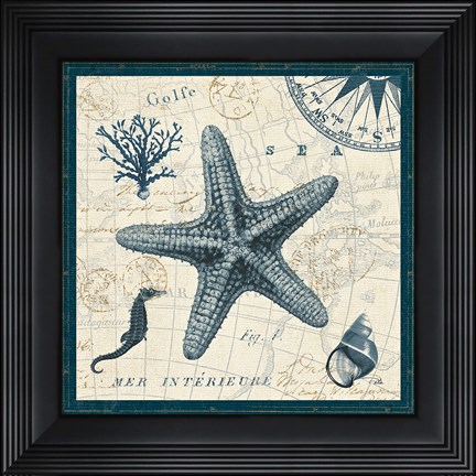 Framed Ocean Life V Print