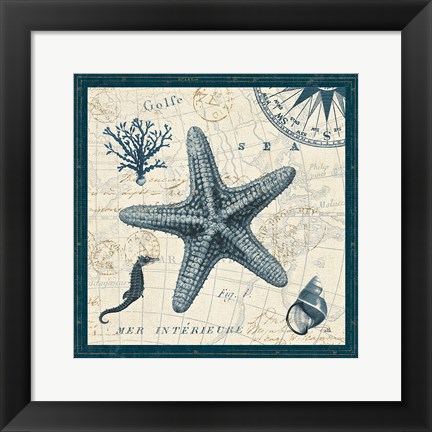 Framed Ocean Life V Print