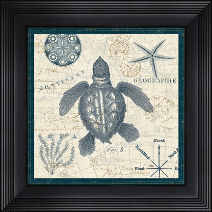 Framed Ocean Life VI Print