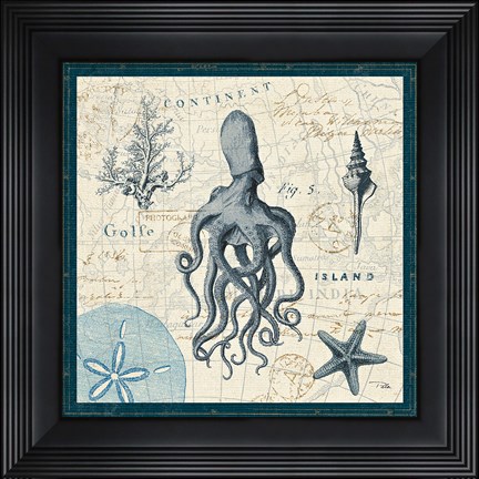 Framed Ocean Life VII Print