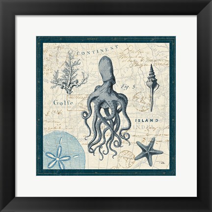 Framed Ocean Life VII Print
