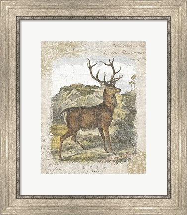 Framed Woodland Stag I Print