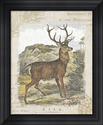 Framed Woodland Stag I Print