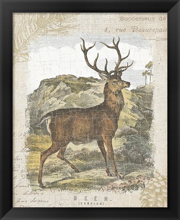 Framed Woodland Stag I Print