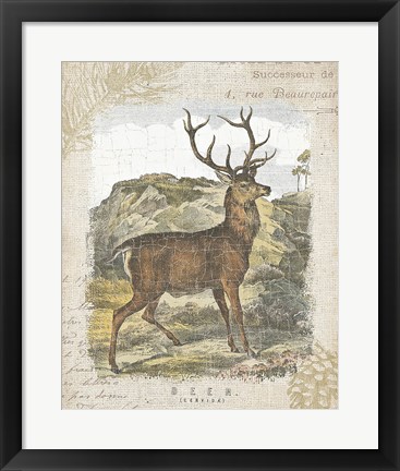 Framed Woodland Stag I Print