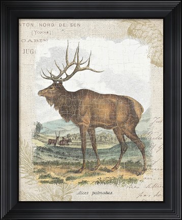 Framed Woodland Stag II Print