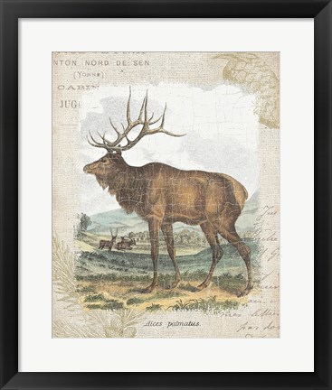 Framed Woodland Stag II Print