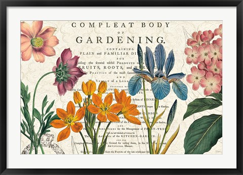 Framed Botany Print