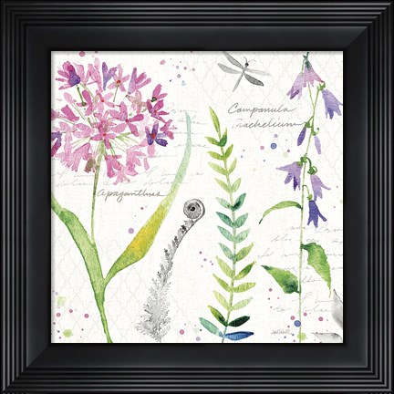 Framed Soft Nature III Print