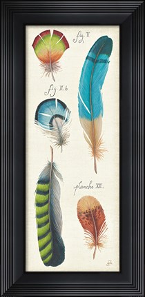 Framed Ornithology III Panel Print