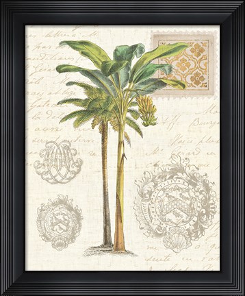 Framed Vintage Palm Study I Print