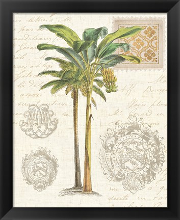 Framed Vintage Palm Study I Print