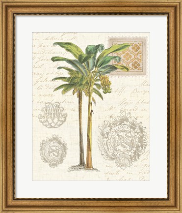 Framed Vintage Palm Study I Print