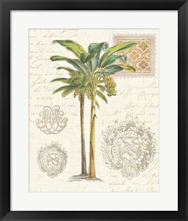 Framed Vintage Palm Study I Print