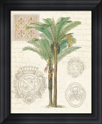 Framed Vintage Palm Study II Print