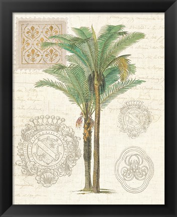 Framed Vintage Palm Study II Print