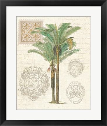 Framed Vintage Palm Study II Print