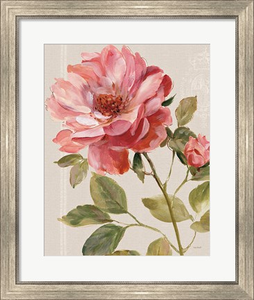 Framed Harmonious Rose Linen Print