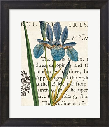 Framed Iris Letter Print