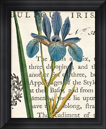 Framed Iris Letter Print