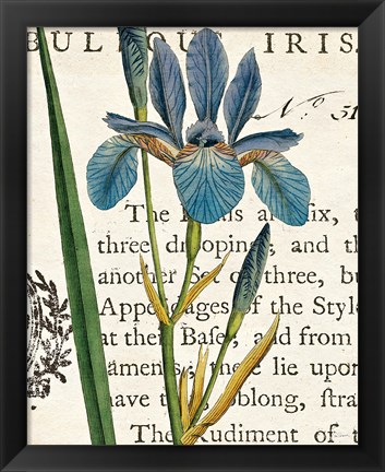 Framed Iris Letter Print