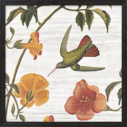 Framed Vintage Hummingbird I Print