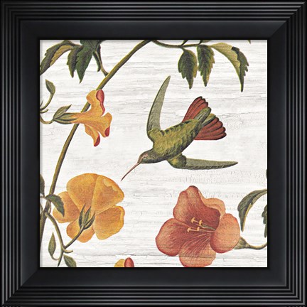 Framed Vintage Hummingbird I Print