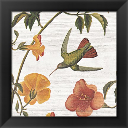 Framed Vintage Hummingbird I Print