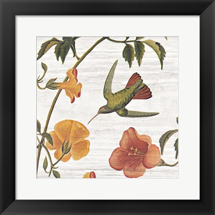 Framed Vintage Hummingbird I Print