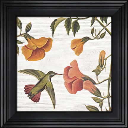 Framed Vintage Hummingbird II Print