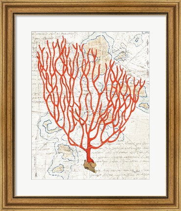 Framed Textured Coral IV Print