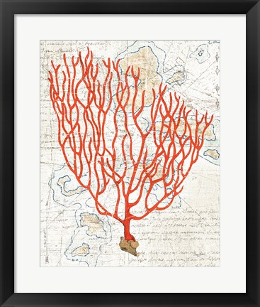 Framed Textured Coral IV Print