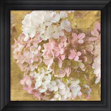 Framed Gilded Hydrangea II Print