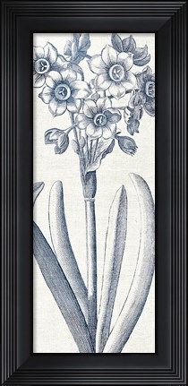 Framed Eden I  Indigo and White Print