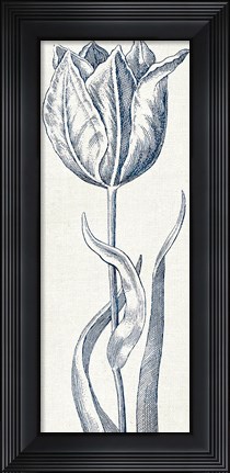 Framed Eden IV  Indigo and White Print