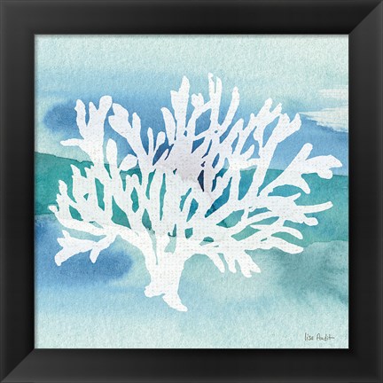 Framed Sea Life Coral II Print