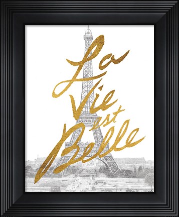 Framed Gilded Paris Print