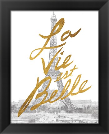 Framed Gilded Paris Print