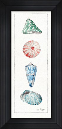 Framed Sea Finds III (panel) Print