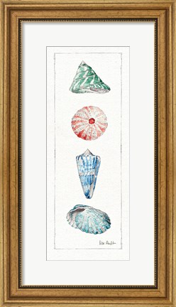 Framed Sea Finds III (panel) Print