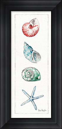 Framed Sea Finds IV (panel) Print