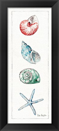 Framed Sea Finds IV (panel) Print