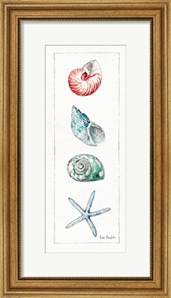 Framed Sea Finds IV (panel) Print