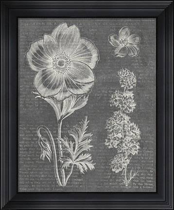 Framed Eden Spring I Gray Print
