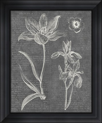 Framed Eden Spring II Gray Print