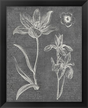 Framed Eden Spring II Gray Print