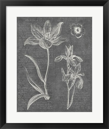 Framed Eden Spring II Gray Print