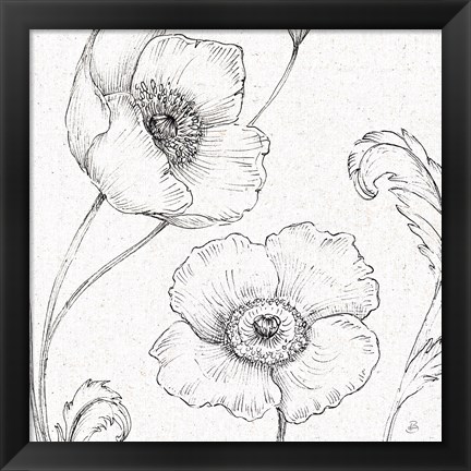 Framed Blossom Sketches I Print